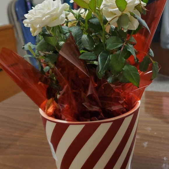 Meet your Posher, Donna - Picture 1 of 1